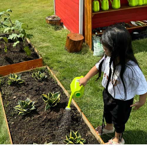 Girl watering plants in the garden